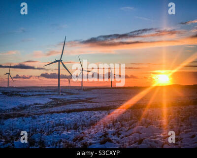 Turbine eoliche a Whitelee Windfarm in Scozia al tramonto Foto Stock