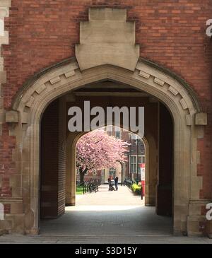 Queen’s University, Belfast, Northern Ireland, UK, una Russell Group Research Intensive University, che mostra il Quadrangle in un pomeriggio di primavera vicino alla Main Site Tower e alla Graduate School. Foto Stock