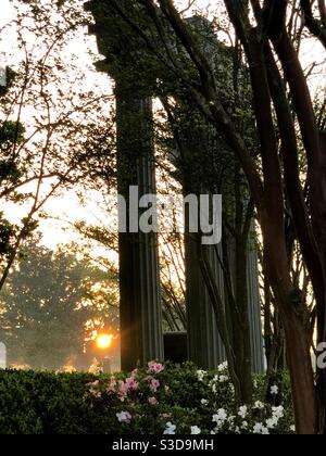 Alba nel cimitero di Magnolia Mobile Alabama Foto Stock