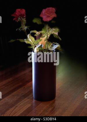 Due rose rosse in vaso nero Foto Stock