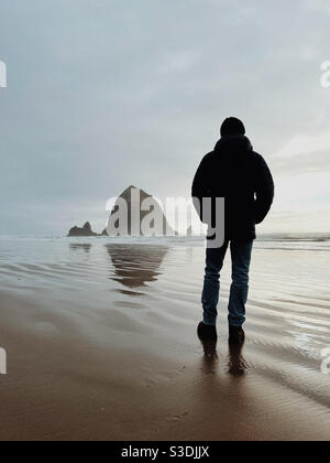 Uomo in natura Foto Stock