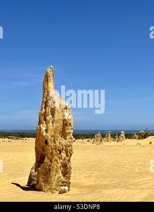 Le formazioni calcaree dei Pinnacoli nel Parco Nazionale di Nambung. Foto Stock