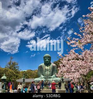 I visitatori ammirano e scattano foto della famosa statua del Grande Buddha a Kamakura sotto gli alberi in fiore di sakura, Giappone. Foto Stock