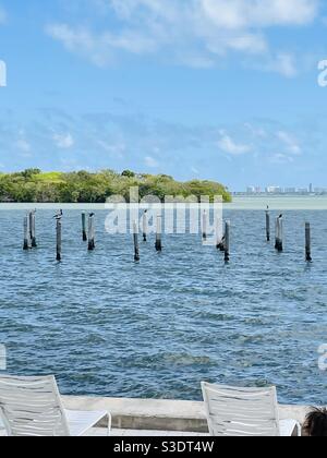 Gli uccelli riposano sulle palazzine dell'oceano in acqua blu che si affaccia su una piccola isola tropicale circondata da acque color giada piu' chiare con gli edifici di Miami Beach sullo sfondo, Florida, USA Foto Stock