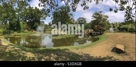 Panorama del giardino d'acqua giapponese a Cliveden. Vicino a Maidenhead, Berkshire, Inghilterra. Foto Stock