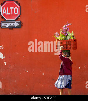 Venditore di orchidee in viaggio ad Antigua, Guatemala Foto Stock