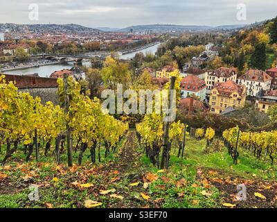 Würzburg vista sulla città con il fiume meno, il quartiere di Zellerau e le cantine colorate d'autunno, Germania. Foto Stock