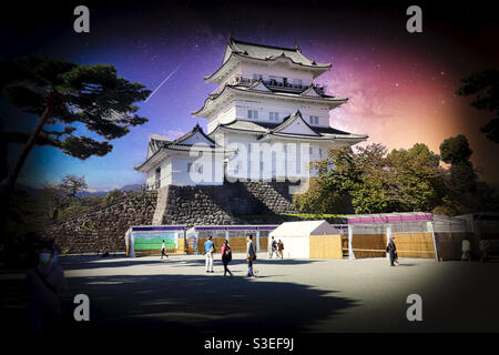 Il castello di Odawara Foto Stock