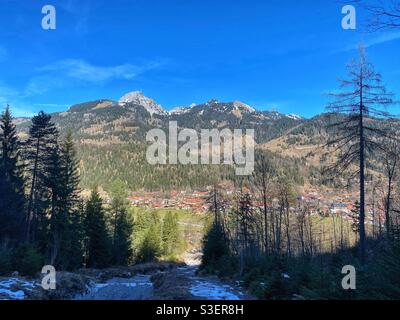 Vista sul monte Wendelstein (1838 m) e sulla città di Bayrischzell con alberi di pino in primo piano, in Germania. Foto Stock