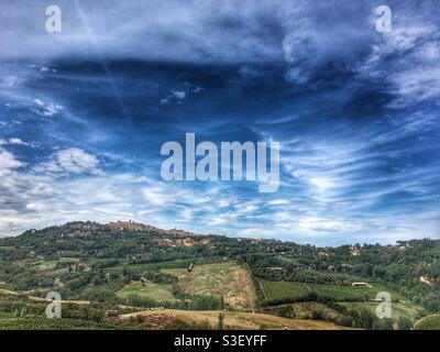 Montepulciano, Toscana, Italia, Europa - vigneti in primo piano Foto Stock