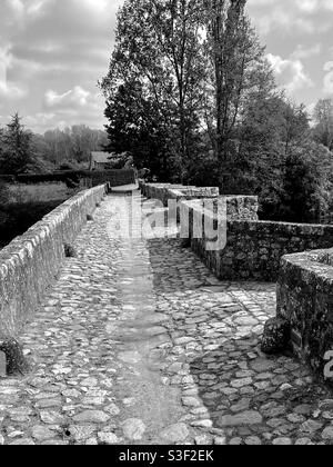 Ponte storico che attraversa il fiume Thouet in Francia Foto Stock