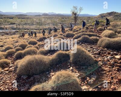 Gruppo di trekking sul Larapinta Trail, West McDonnell Ranges, territorio del Nord, Australia Foto Stock