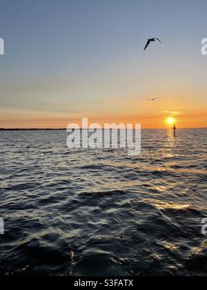 Silhouette volanti con tramonto dorato sul Golfo Del Messico acqua Florida Foto Stock