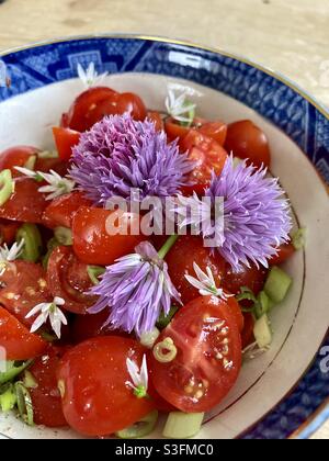 Insalata di pomodoro con fiori di erba cipollina viola e cipollotti a fette con fiori di aglio selvatico - insalata primaverile - insalata viola e rossa - ciotola con bordo blu Foto Stock