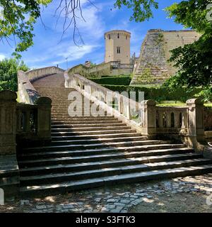 Lungo volo di scalini di pietra che conducono al Château Saint Aignan, Loir et Cher (41), Francia. Foto Stock