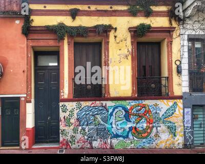 Arte di strada e vecchi edifici a San Telmo, Buenos Aires, Argentina Foto Stock
