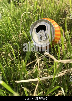 Lattina scartata su una falda erbosa, in estate, Regno Unito Foto Stock