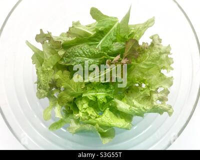 Una ciotola di foglie di insalata del bambino Foto Stock