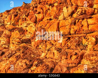 Sole di mattina presto su pietra arenaria al Kings Canyon nel Parco Nazionale di Watarrka, territorio del Nord, Australia Foto Stock