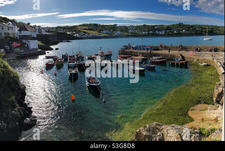 Un panorama del porto e della flotta di barche da pesca a Coverack in Cornovaglia UK in una giornata estiva Foto Stock