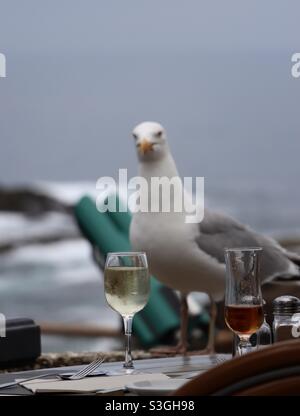Bicchieri di vino, rosso e bianco e un gabbiano sullo sfondo Foto Stock
