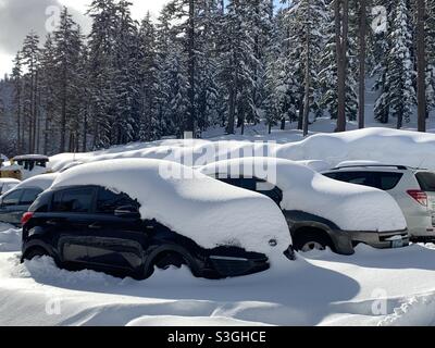 Auto intrappolate sotto la neve Foto Stock