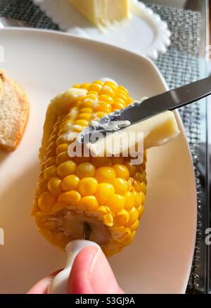 Primo piano di un uomo che buttering mais sulla pannocchia, Stati Uniti Foto Stock