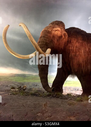 Woolly Mammoth Victoria BC Foto Stock