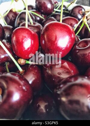 Fresche ciliegie inglesi locali Foto Stock