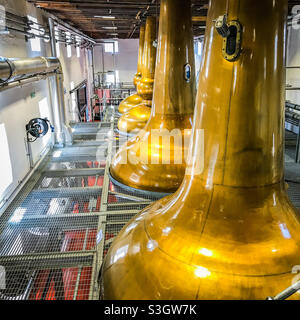 Bladnoch Whisky Distillery a Dumfries e Galloway in Scozia Foto Stock