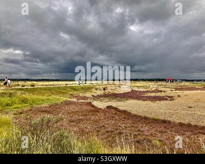 Vista sulla riserva naturale del porto di Rye Foto Stock