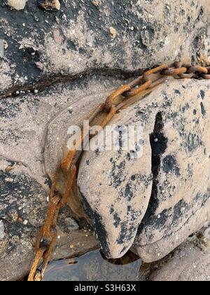 Vecchia catena che ha portato via la roccia in un vecchio porto vicino al castello di Portencross, Ayrshire. Foto Stock