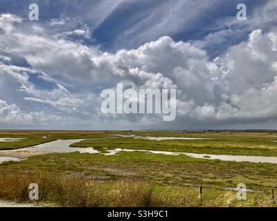 Vista sulla Riserva Naturale del Porto di Rye Foto Stock