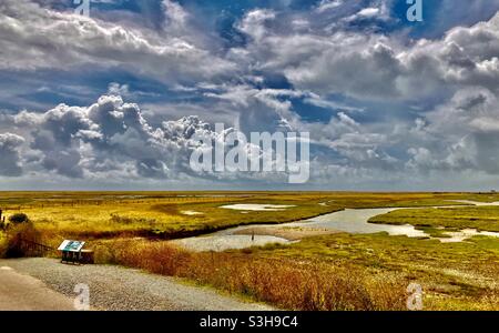 Vista sulla Riserva Naturale del Porto di Rye Foto Stock