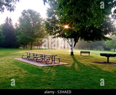 Un posto per picnic, con tavolo lungo e barbecue in un bel parco. Ben attrezzato, invitante, vuoto, posto all'aperto, il sole che sbirciano attraverso gli alberi, Ontario, Canada Foto Stock