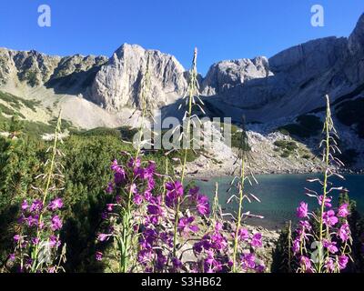 Paesaggio della Bulgaria. Vista sulle montagne del picco in marmo di Sinanitsa e del lago glaciale di Sinanitsa nel Parco Nazionale e Riserva del Pirin, Monte Pirin, Bulgaria, Balcani, Europa Foto Stock