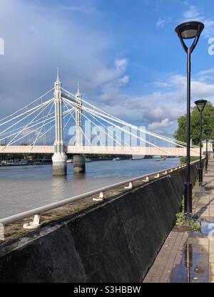 Albert Bridge, Londra, vista dalla riva sud Foto Stock