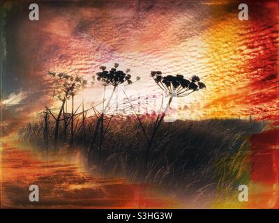 Tramonto rosso Foto Stock