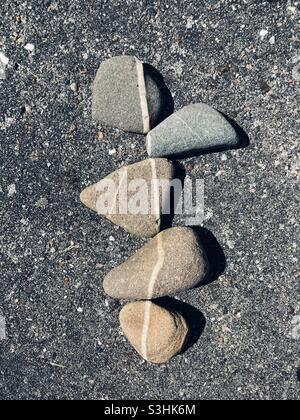 i ciottoli di colore grigio con una striscia bianca sono così vicini che le strisce formano una linea continua Foto Stock