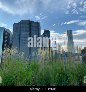 The Rooftop at Pier 17, South Street Seaport, Manhattan, New York, New York, Stati Uniti Foto Stock