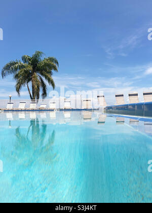 Palm Tree Reflection in piscina Foto Stock