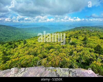 Viste estive lungo l'Appalachian Trail vicino al Monte Rogers e alle Grayson Highlands nel sud-ovest della Virginia. Foto Stock