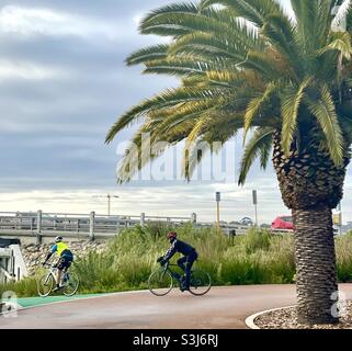 Due ciclisti che cavalcano le loro biciclette davanti ad una palma da datteri delle Isole Canarie, Phoenix canariensis, su un percorso ciclabile che entra nel Canning Bridge sottopone Perth Western Australia Foto Stock