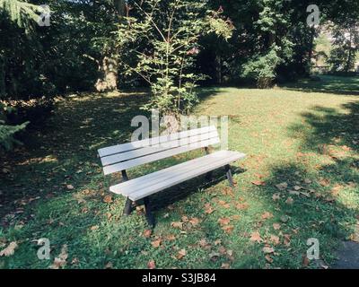 Nel parco si erge una vecchia panca bianca Foto Stock