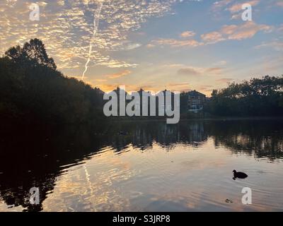 UK Meteo: Bel paesaggio sorgere del sole sullo stagno di Hampstead Heath con riflessi in acqua. Londra, Regno Unito. 14 ottobre 2021. Foto Stock