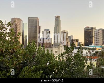 LOS ANGELES, CA, GENNAIO 2021: Grattacieli e alti edifici nello skyline del centro vista sugli alberi, dal nord della città al crepuscolo Foto Stock