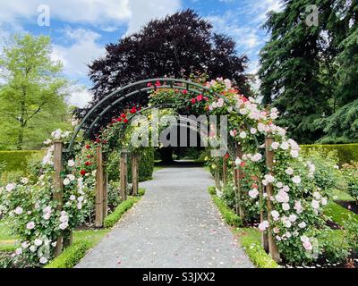 Primavera a Christchurch, Nuova Zelanda Foto Stock