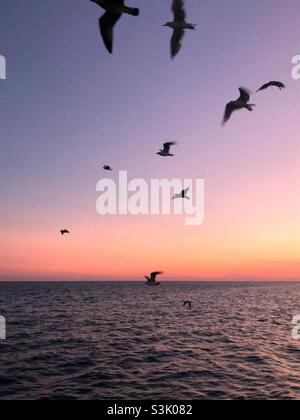 Tramonto rosa sul mare Foto Stock