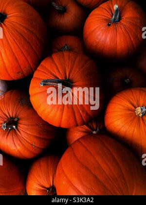 Immagine di sfondo del cibo full frame di zucche d'arancio profonde in una pila di mucchi sul mercato agricolo per Halloween Foto Stock