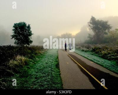 Camminando nella nebbia nebulosa, Ontario, Canada. Due camminatori nella nebbia. Sentiero lastricato. Erba sui verges. Alberi maturi. Linea gialla. Foto Stock